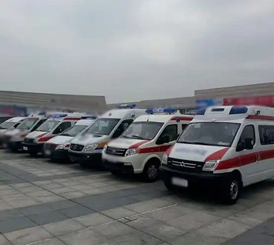 临澧县服务车队展示